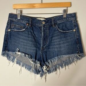 Free People We the Free Denim‎ Cutoff Shorts